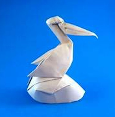 A Beautifully folded pelican