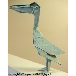 Joseph wu   pelican