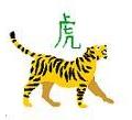 Year of the Tiger